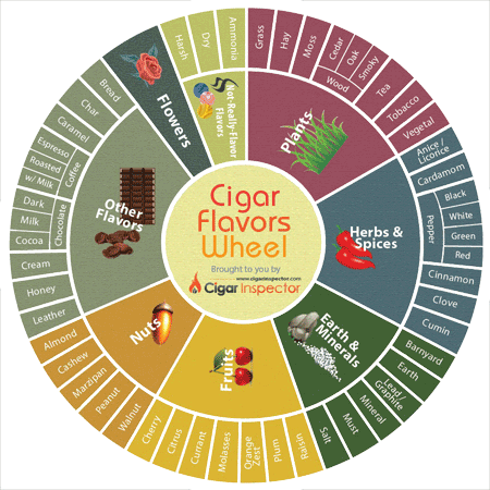 Cigar flavors wheel