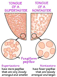 Supertasters vs. Nontasters