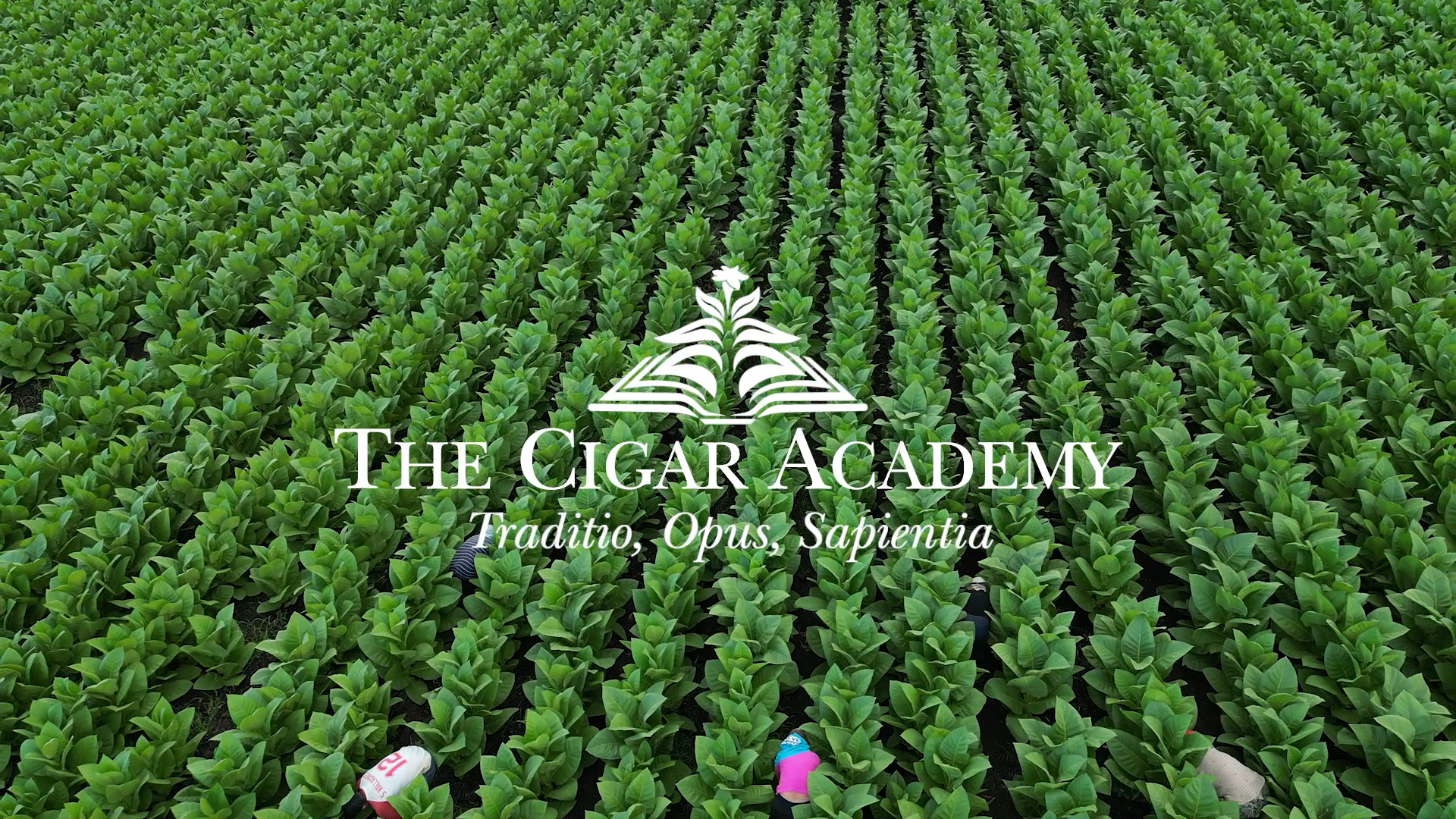 Empowering the Cigar Community: The Launch of The Cigar Academy at PCA Trade Show