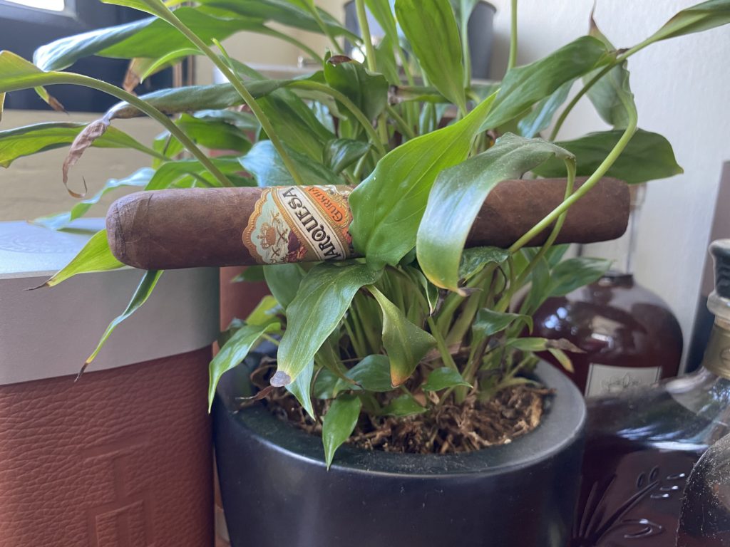 Ministry of Cigars - Gurkha Marquesa Toro